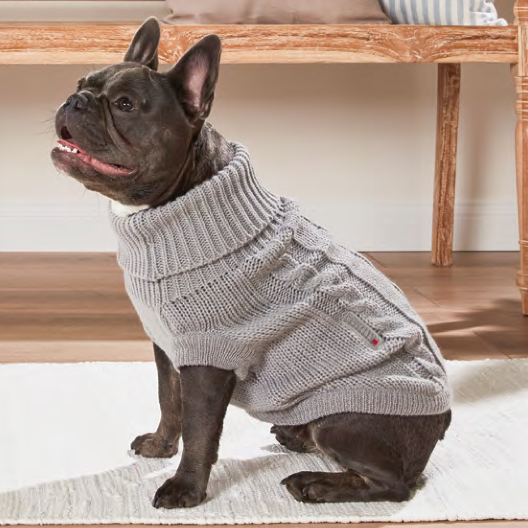 Wolters Cable Knit Jumper for Pug Co dapperdog