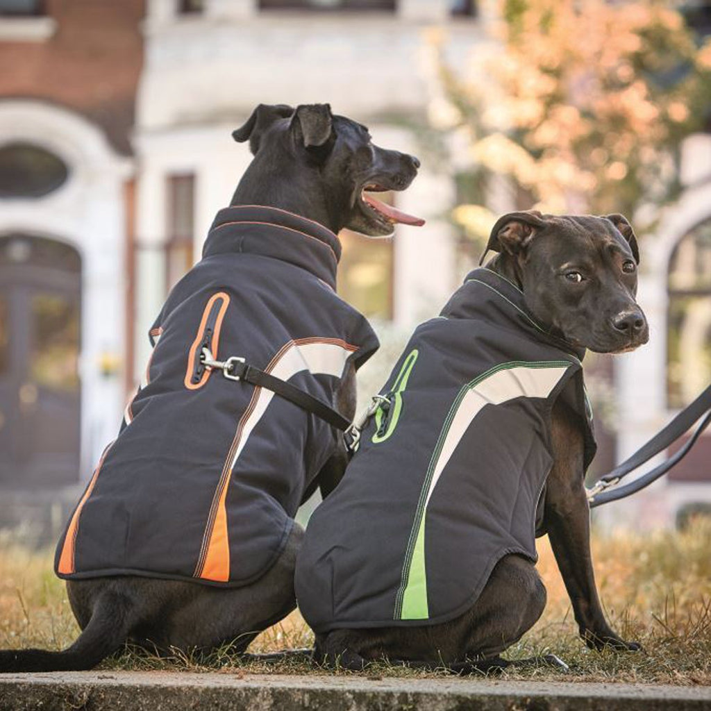 Pug sales coats uk